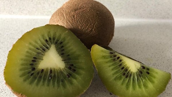 El Kiwi - Un Poderoso Antioxidante